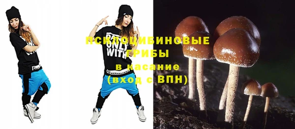 прущая мука Бородино