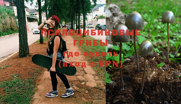 МДПВ Богданович